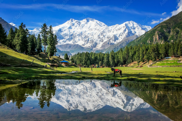 5 Days Trip to Fairy Meadows